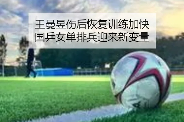 王曼昱伤后恢复训练加快 国乒女单排兵迎来新变量